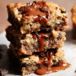 Chocolate Chip Oatmeal Cookie Bars