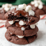 Gluten Free Empanadas