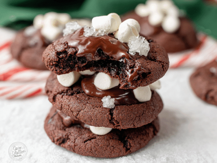 Gluten Free Empanadas