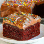 Gluten Free Wacky Cake