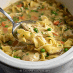 Slow Cooker Chicken Thighs and Noodles