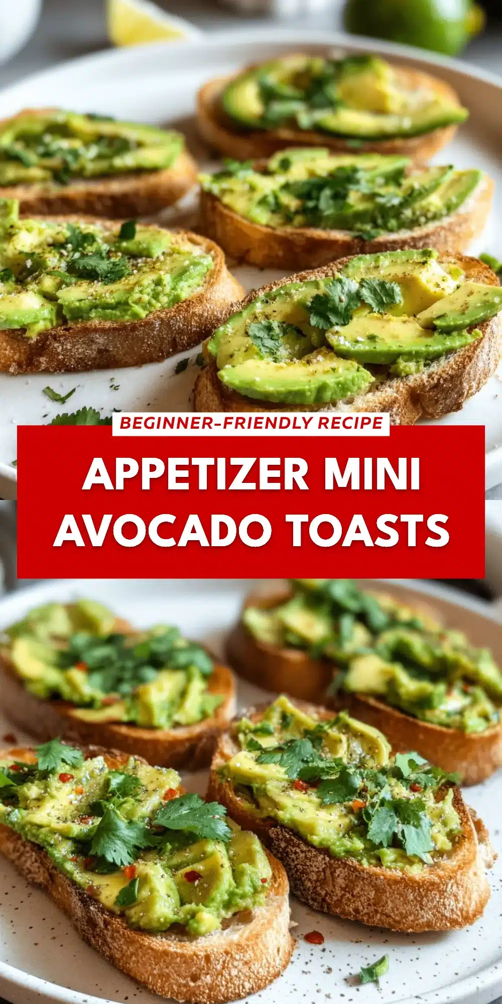 Appetizer Mini Avocado Toasts