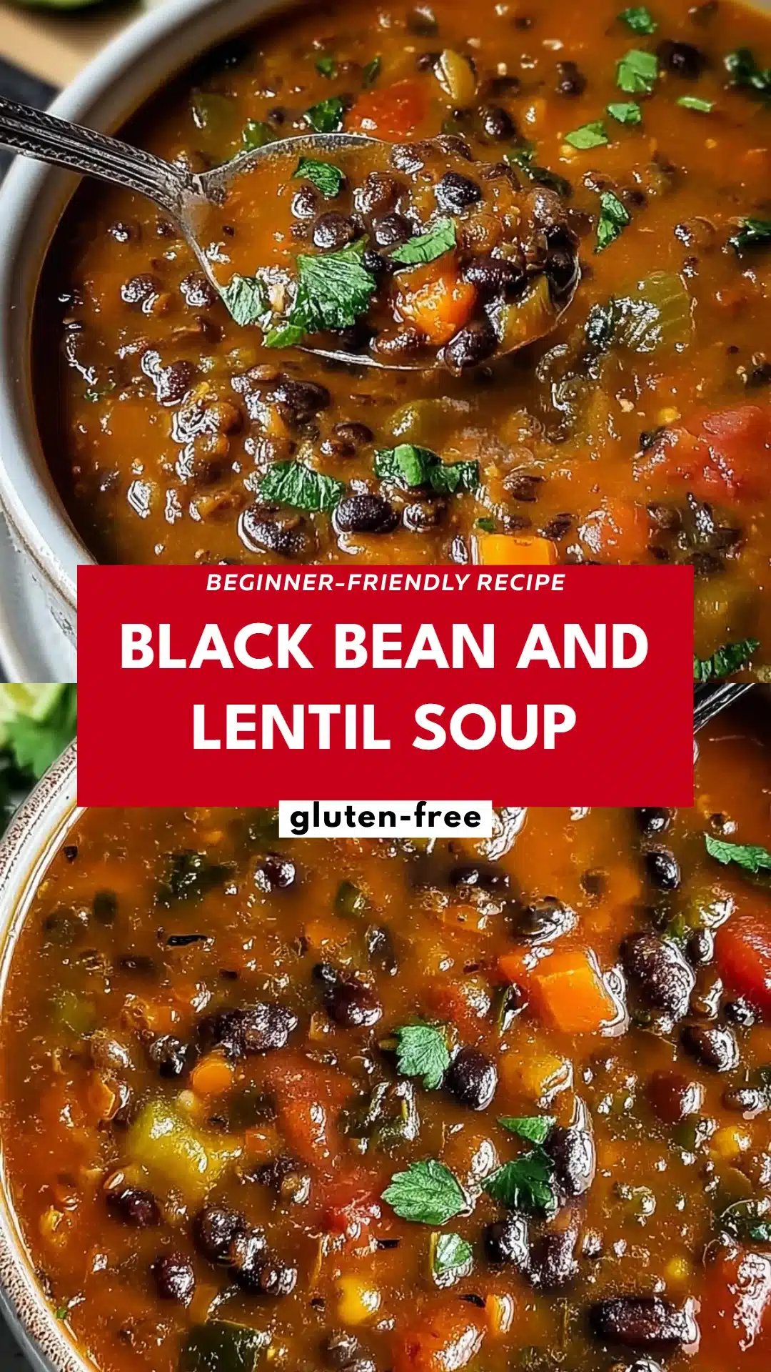 Black Bean and Lentil Soup