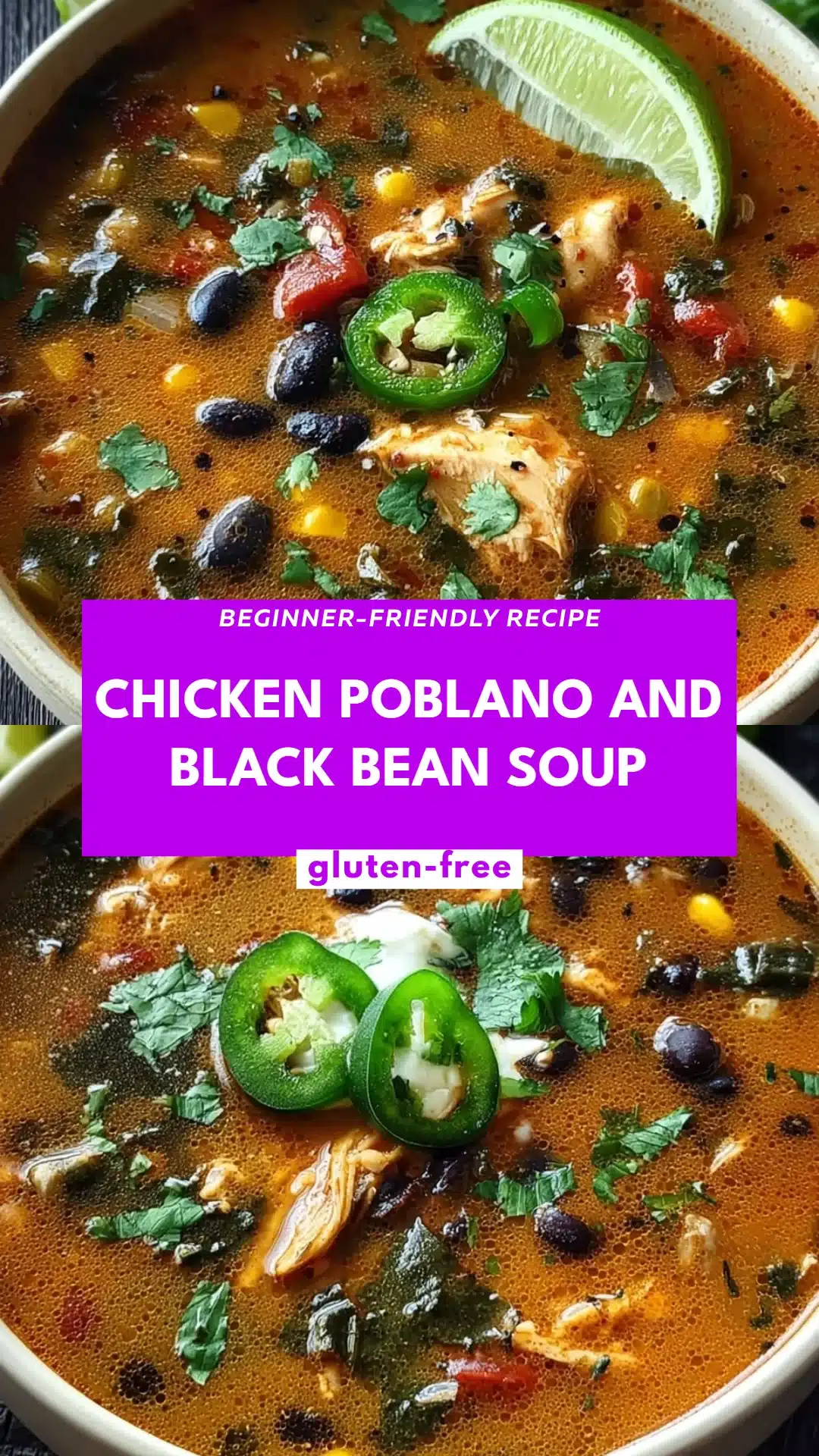 Chicken Poblano and Black Bean Soup