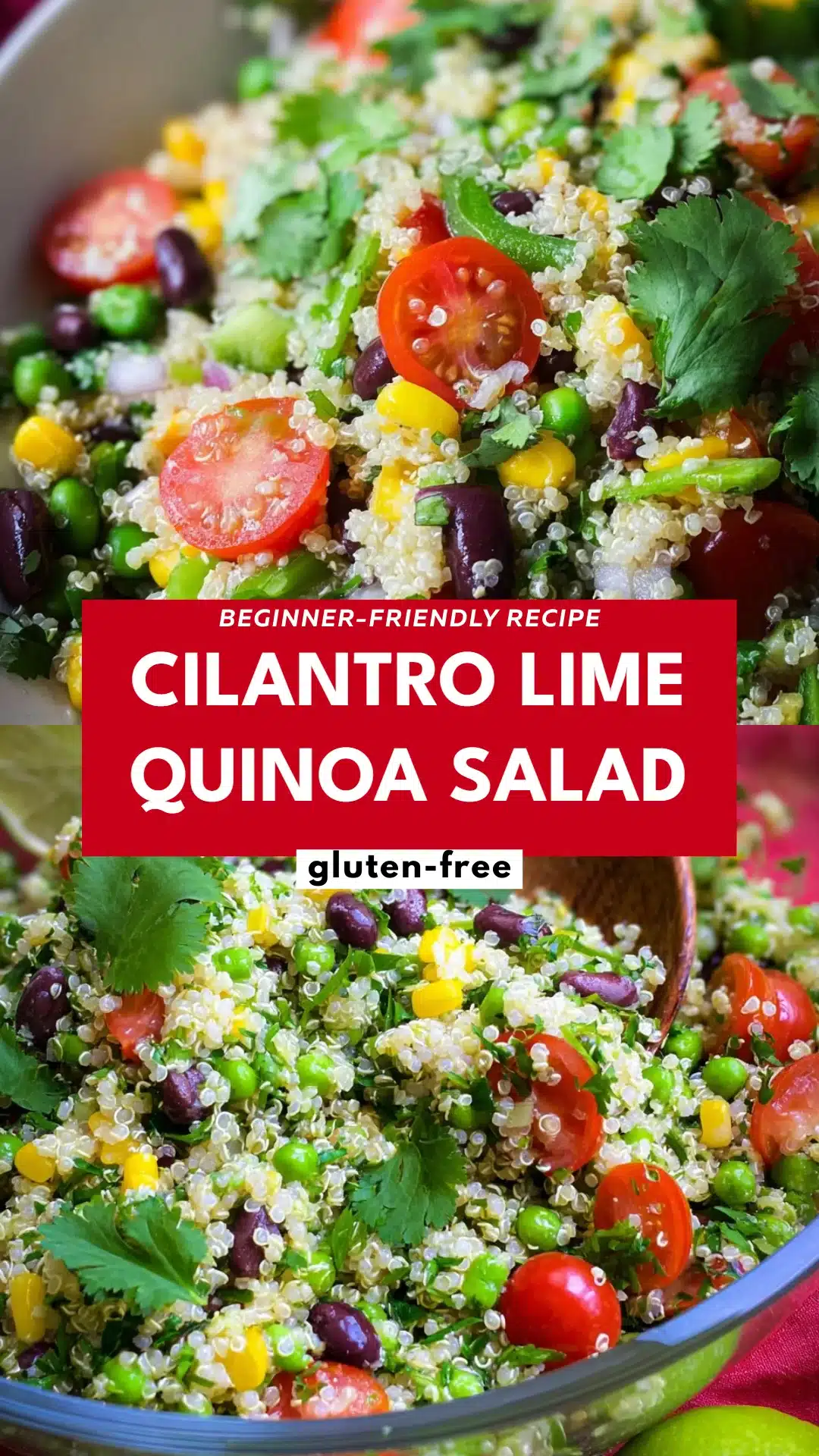 Cilantro Lime Quinoa Salad