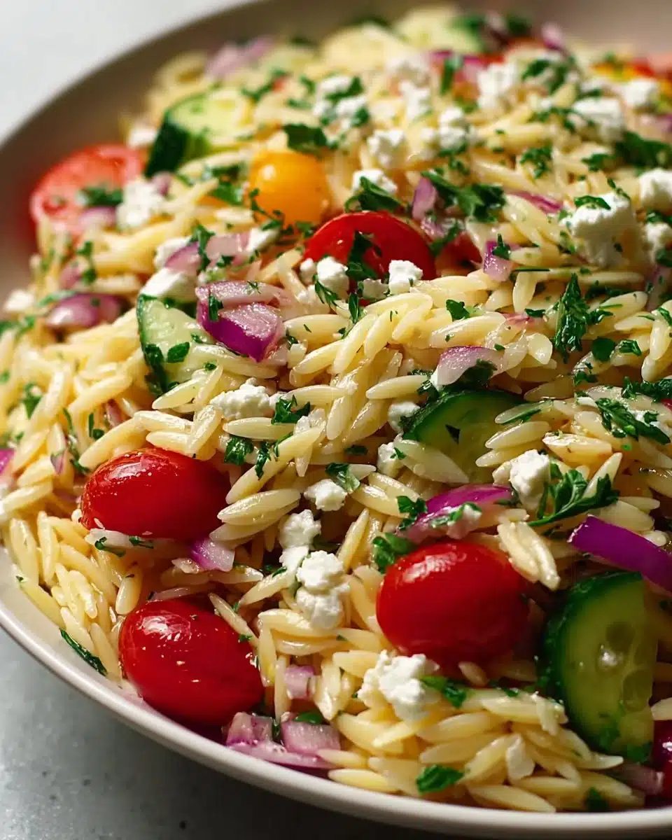 Vegetarian Greek Orzo Pasta Salad