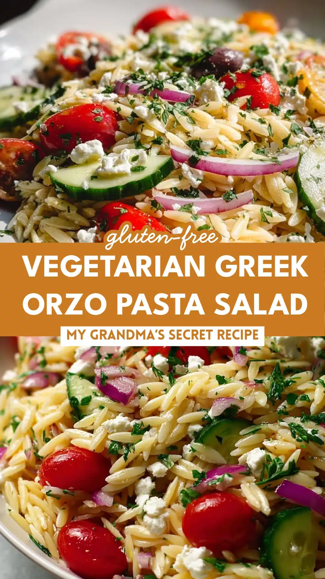 Vegetarian Greek Orzo Pasta Salad