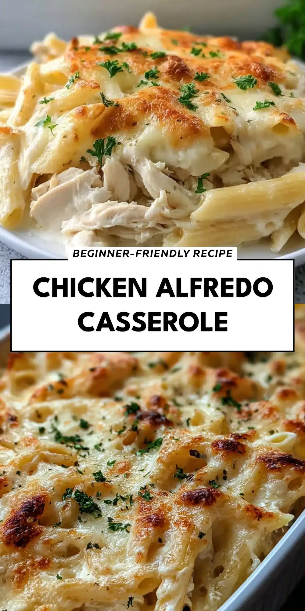Chicken Alfredo Casserole