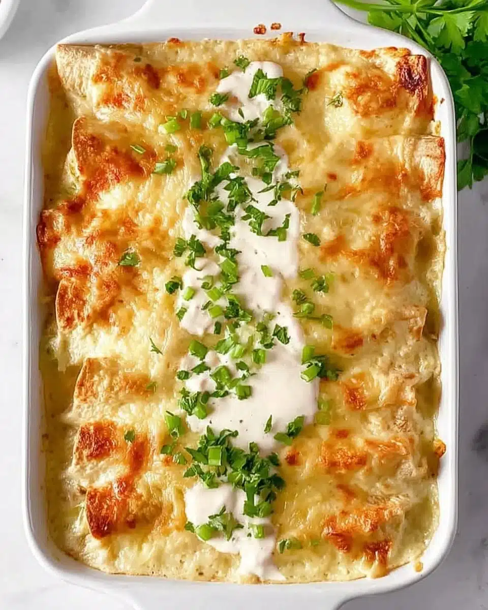 Chicken Enchiladas with Sour Cream White Sauce