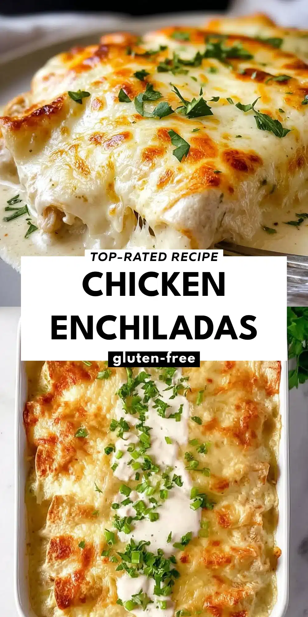 Chicken Enchiladas