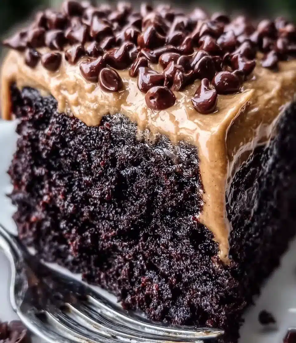 Delicious slice of Chilean Chocolate Cake topped with chocolate shavings