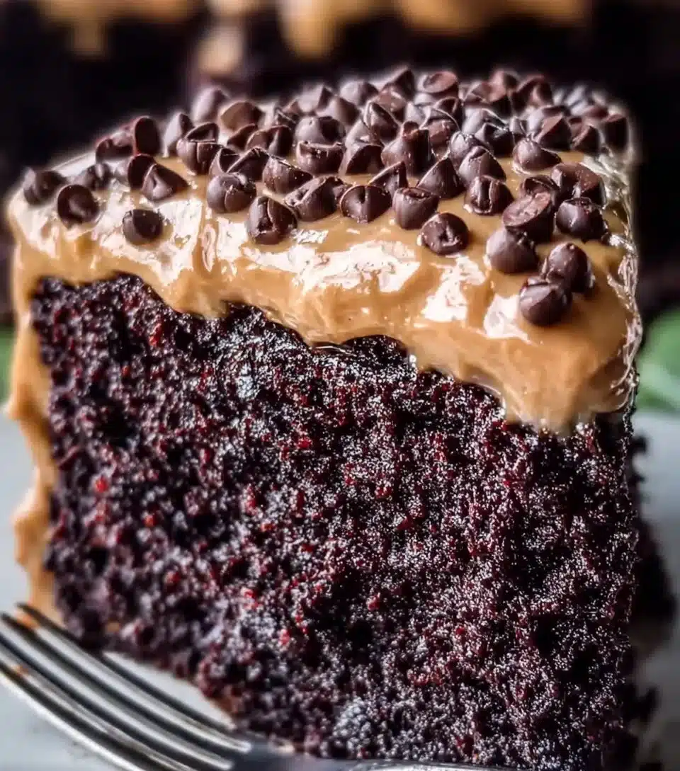 Chilean Chocolate Cake