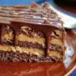 Delicious and rich chocolate cake served with a slice on a plate