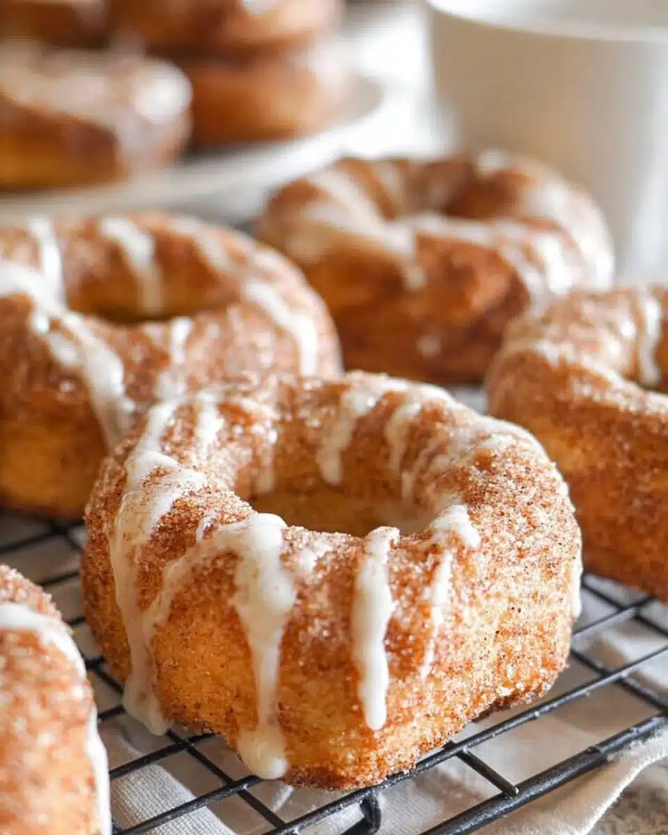 Air Fryer Cinnamon Roll Donuts