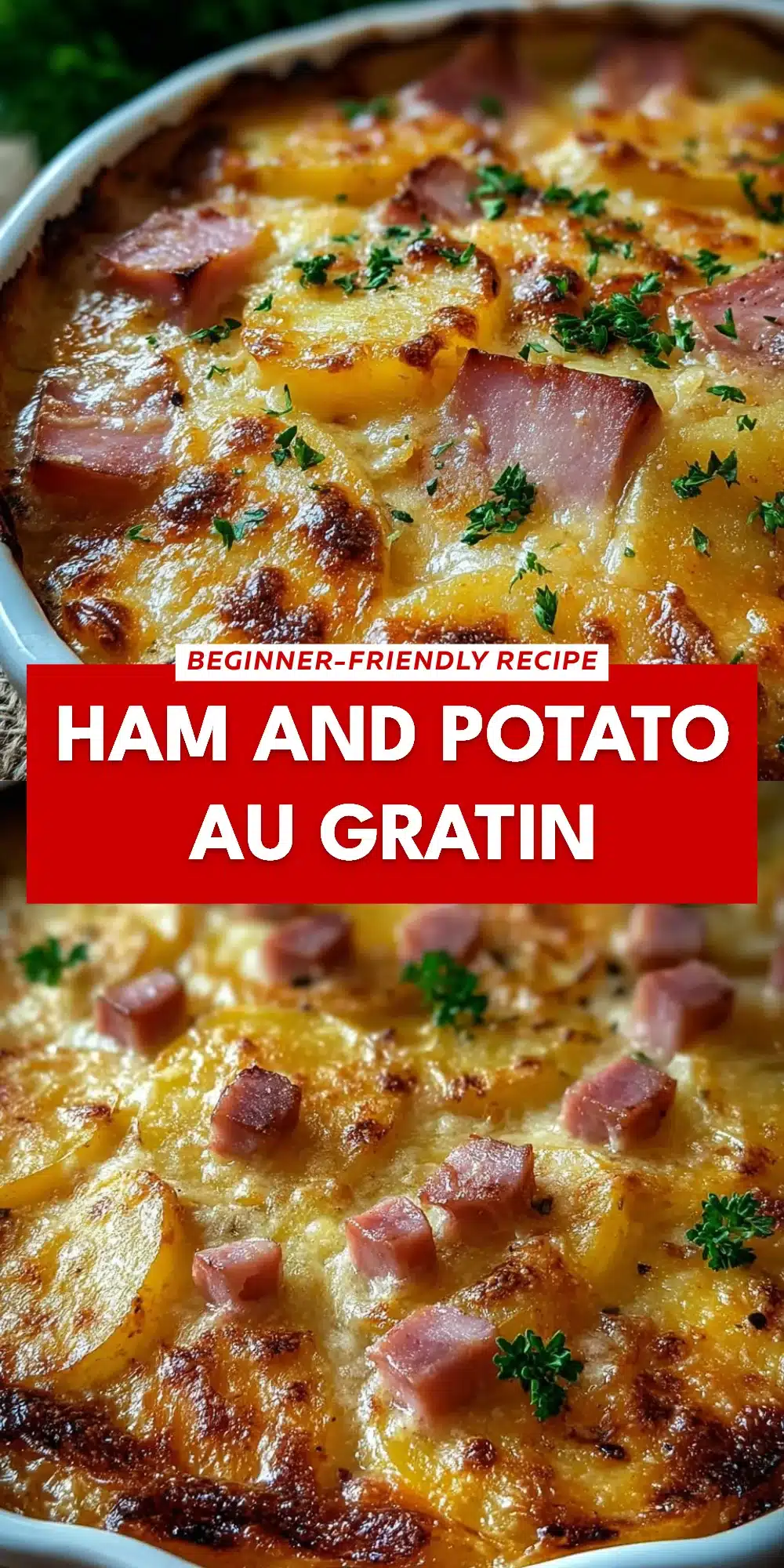Ham and Potato Au Gratin