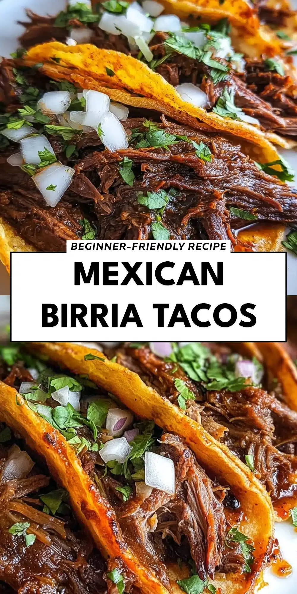 Mexican Birria Tacos