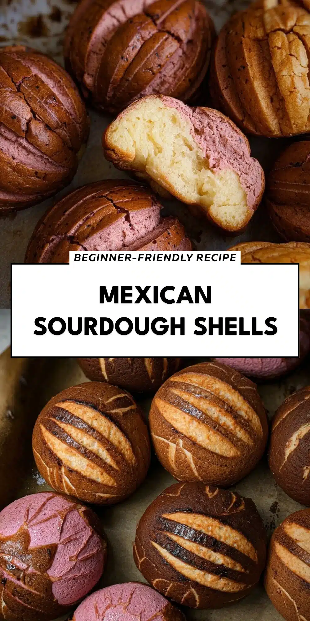 Mexican Sourdough Shells