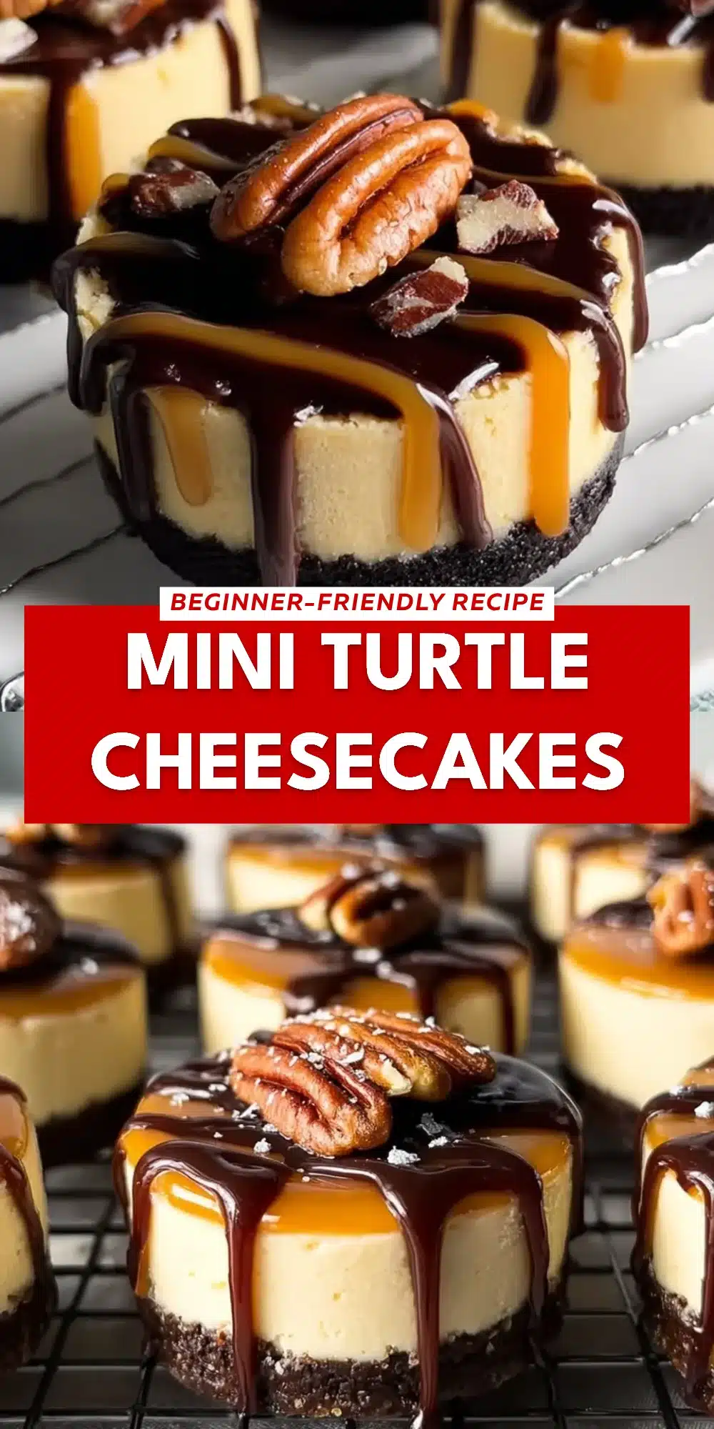 Mini Turtle Cheesecakes