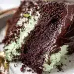 Delicious Mint Chocolate Cake with chocolate frosting and mint leaves decoration