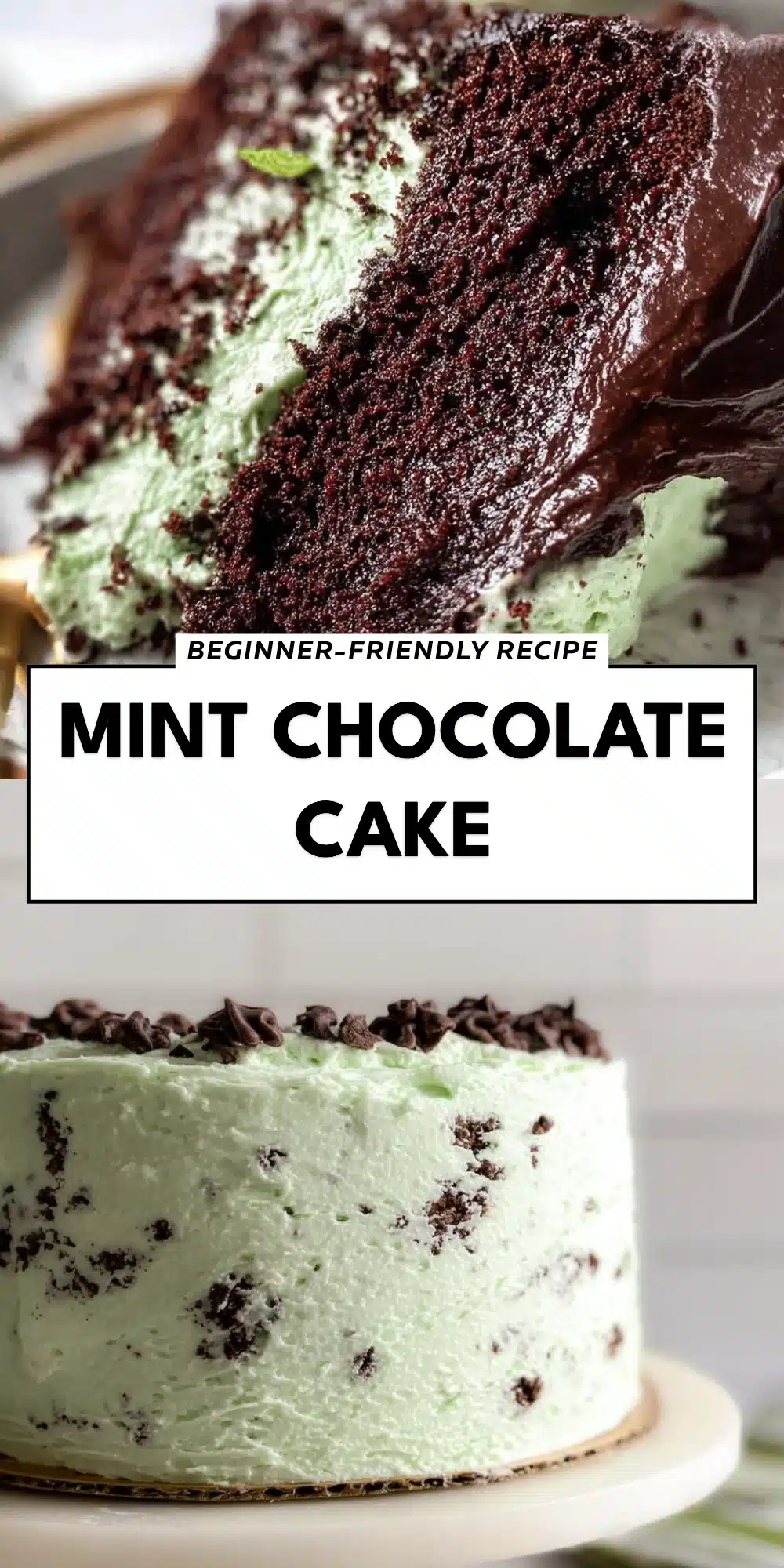 Mint Chocolate Cake