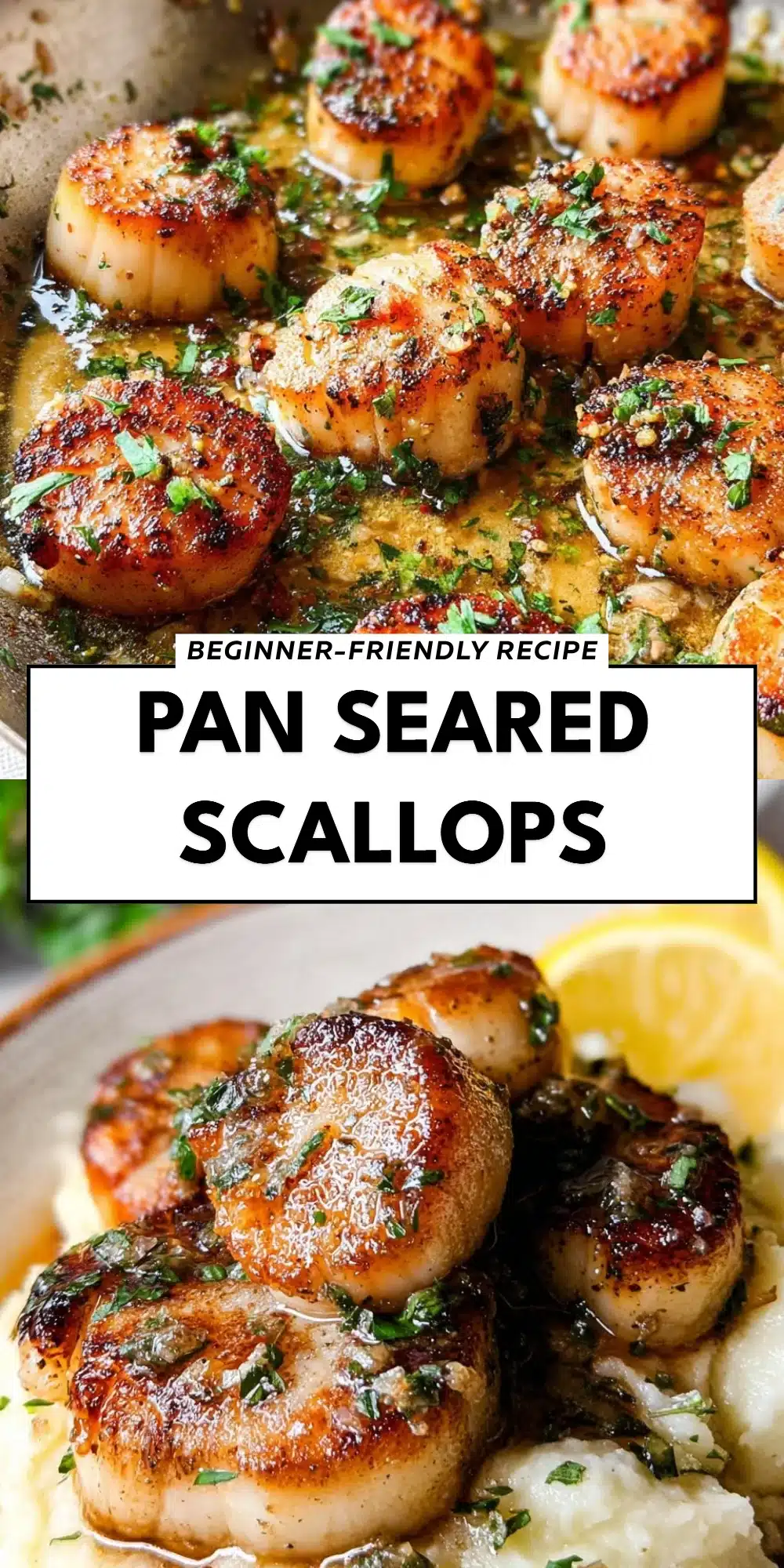 Pan Seared Scallops