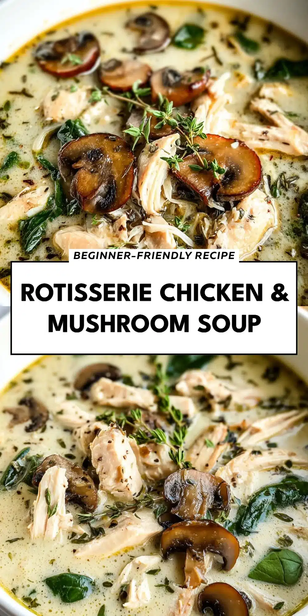 Rotisserie Chicken & Mushroom Soup