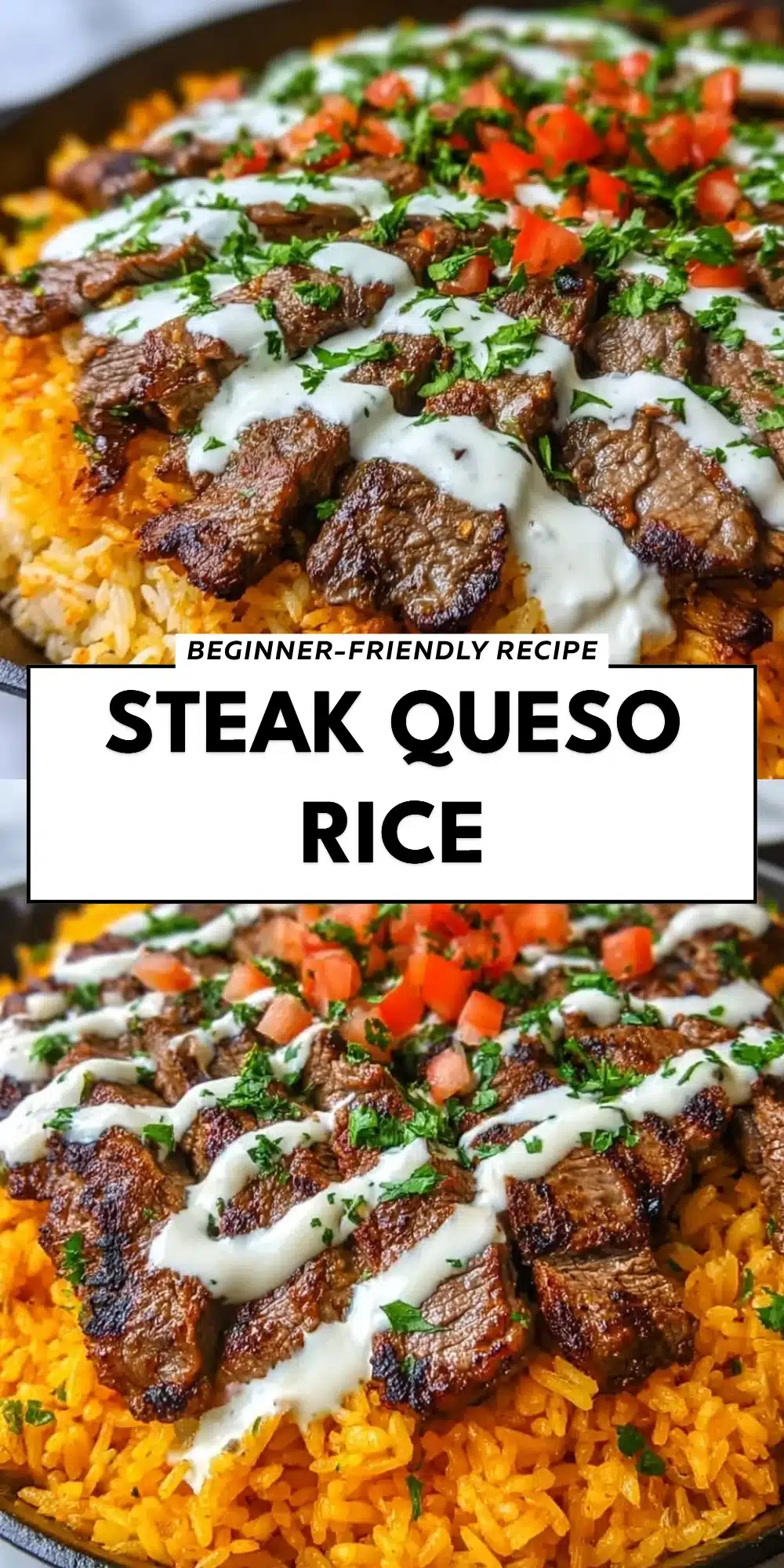 Steak Queso Rice