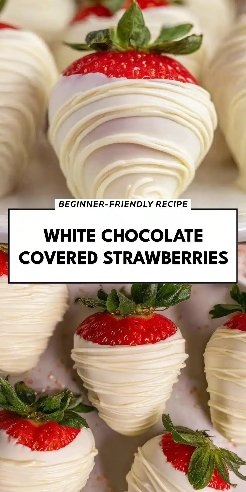 White Chocolate Covered Strawberries
