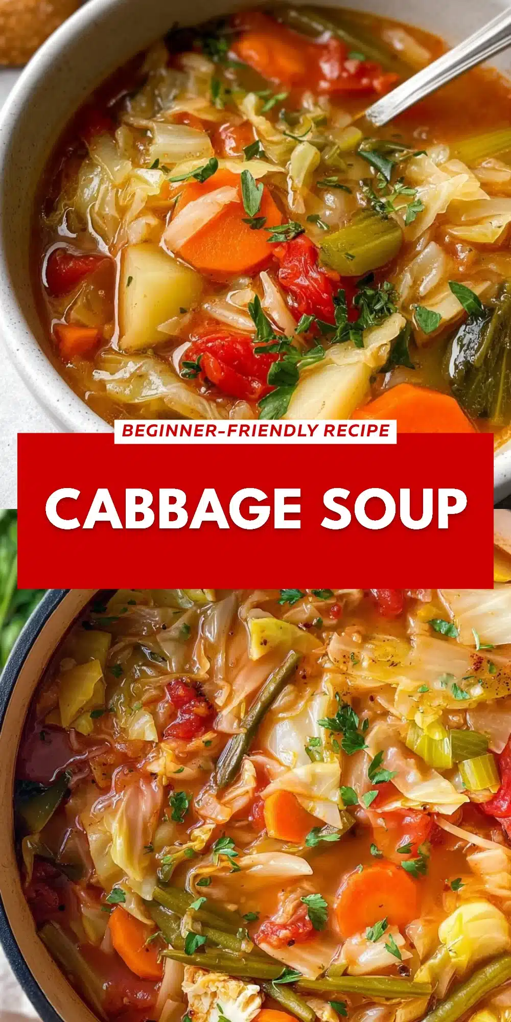 Cabbage Soup