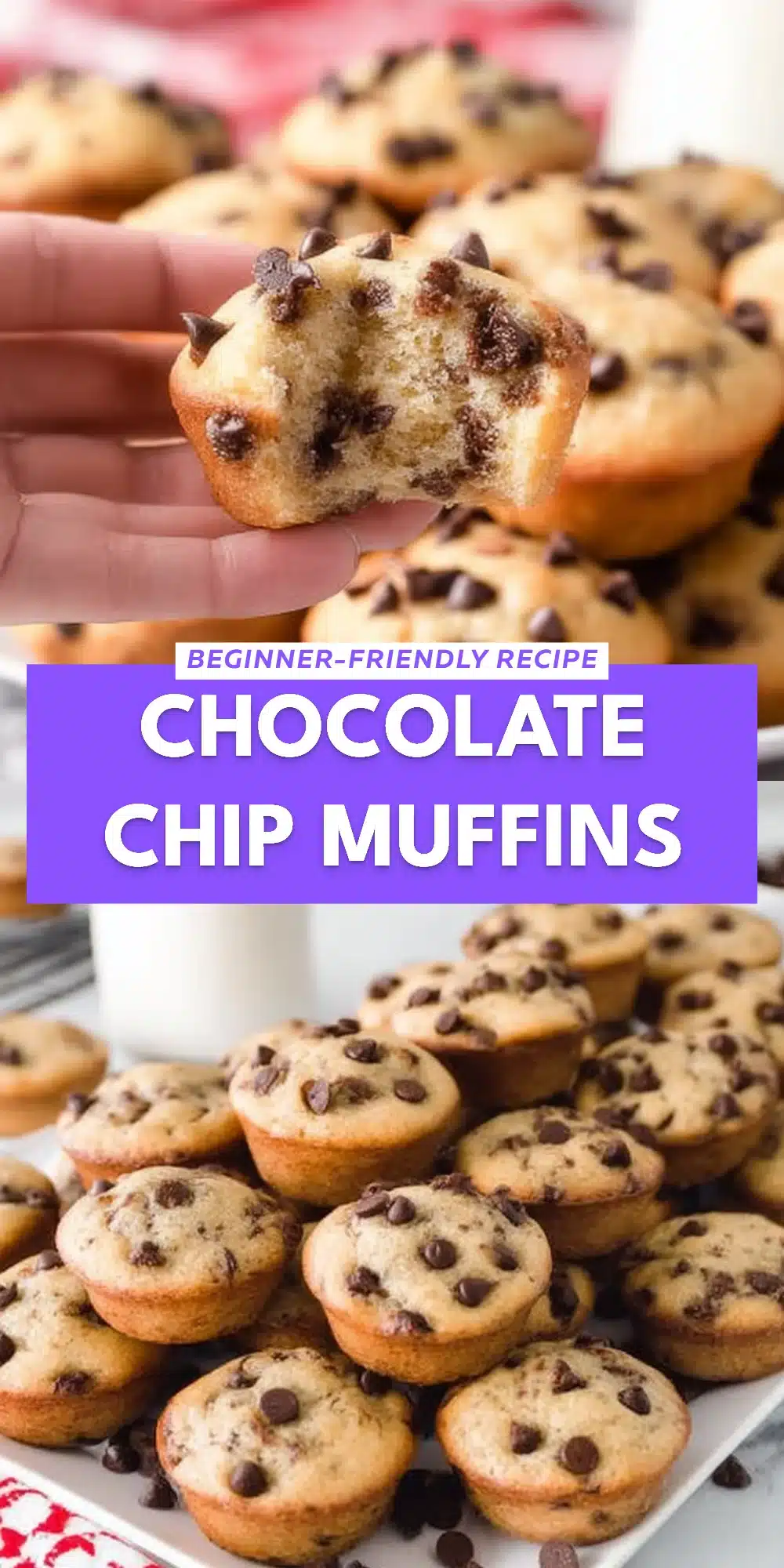 Chocolate Chip Muffins