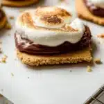 Delicious homemade Graham Cracker Cookies arranged on a plate