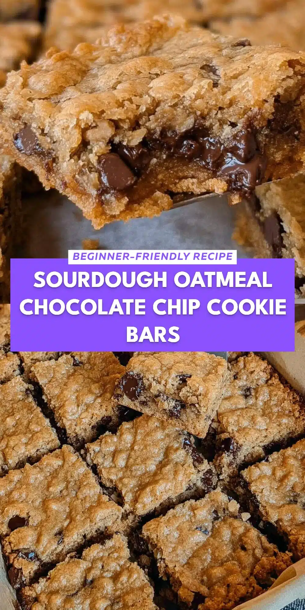 Sourdough Oatmeal Chocolate Chip Cookie Bars