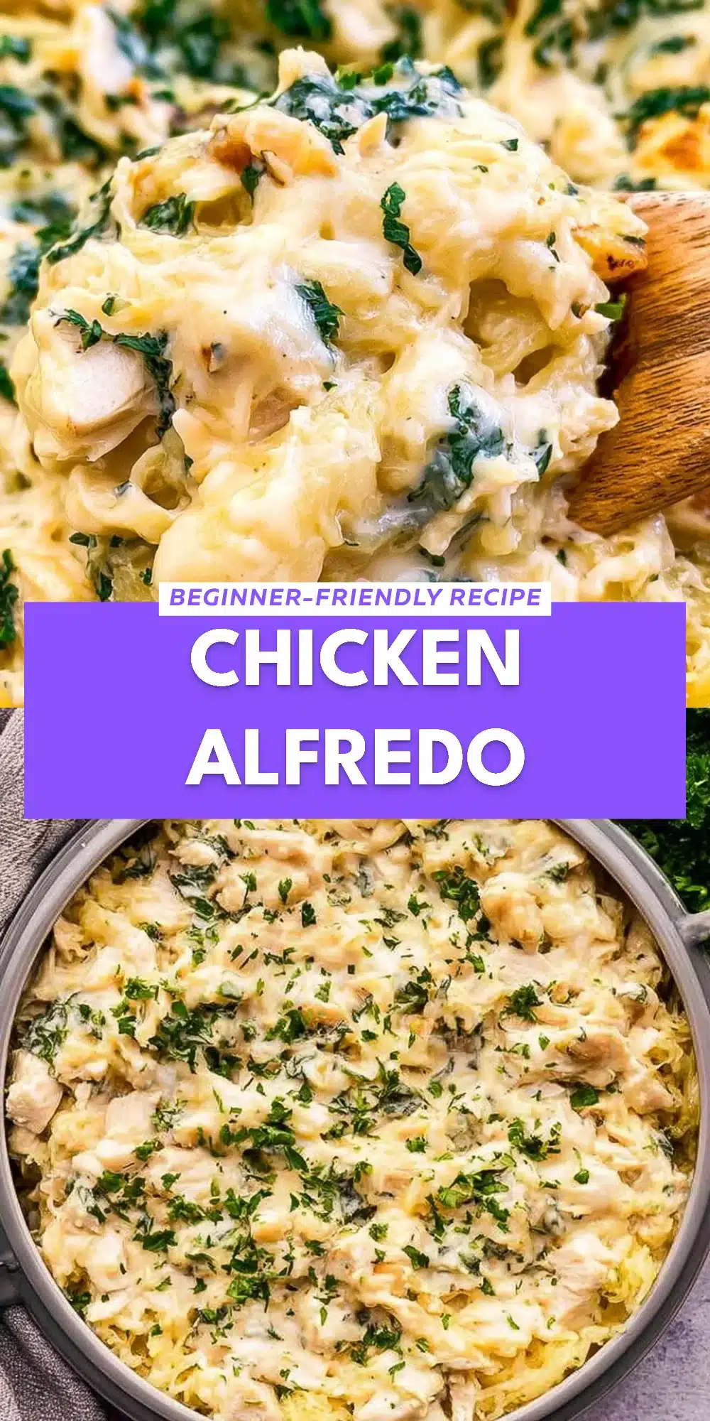 Chicken Alfredo