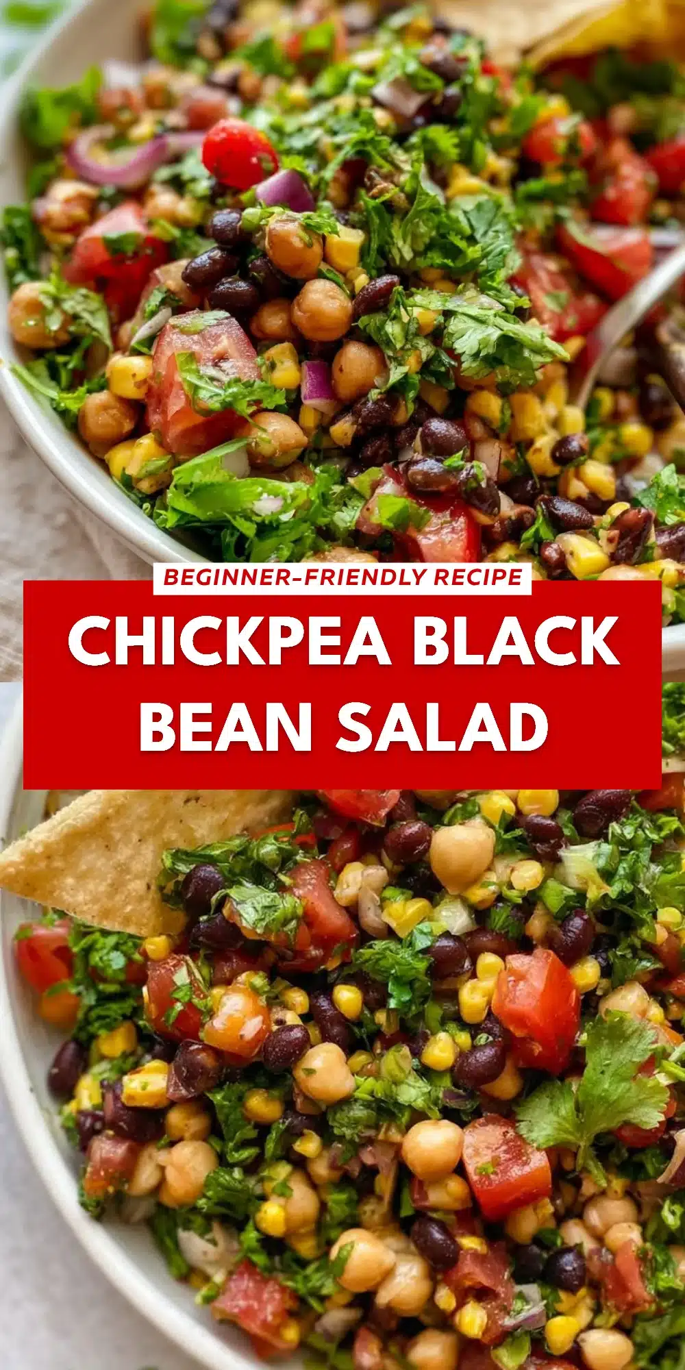 Chickpea Black Bean Salad