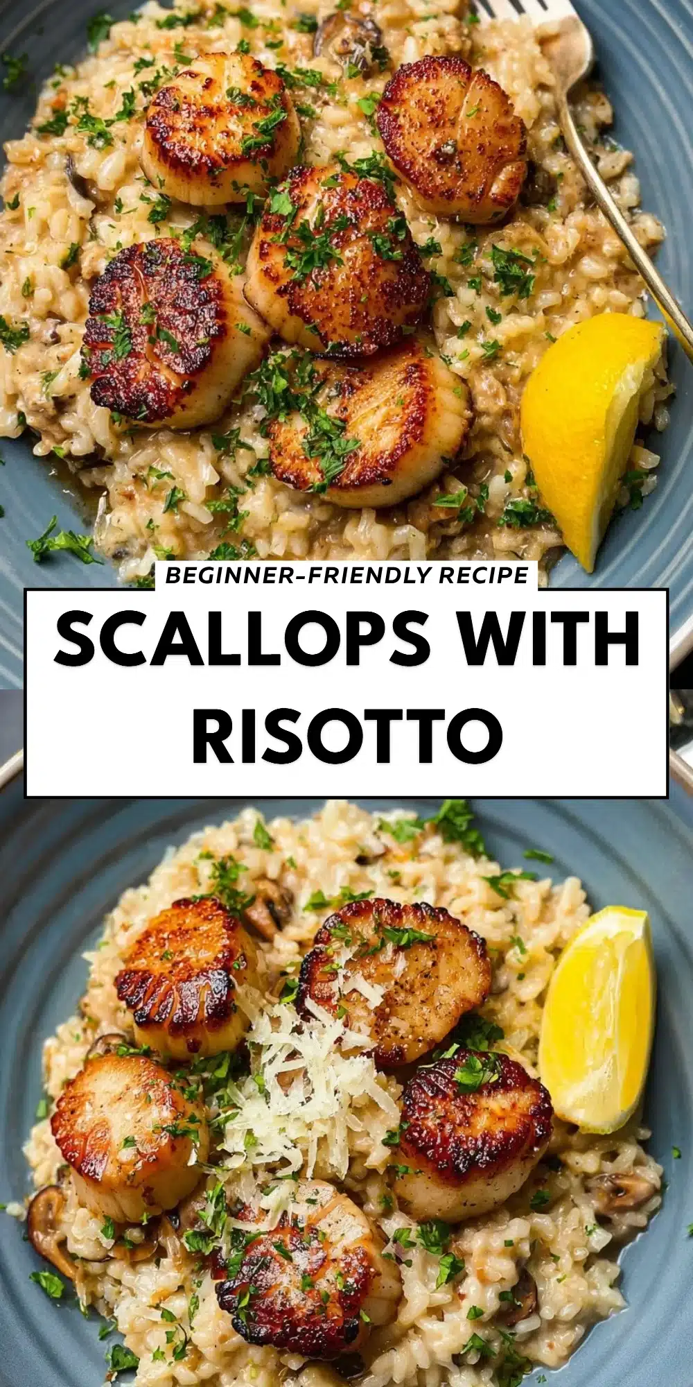 Scallops with Risotto