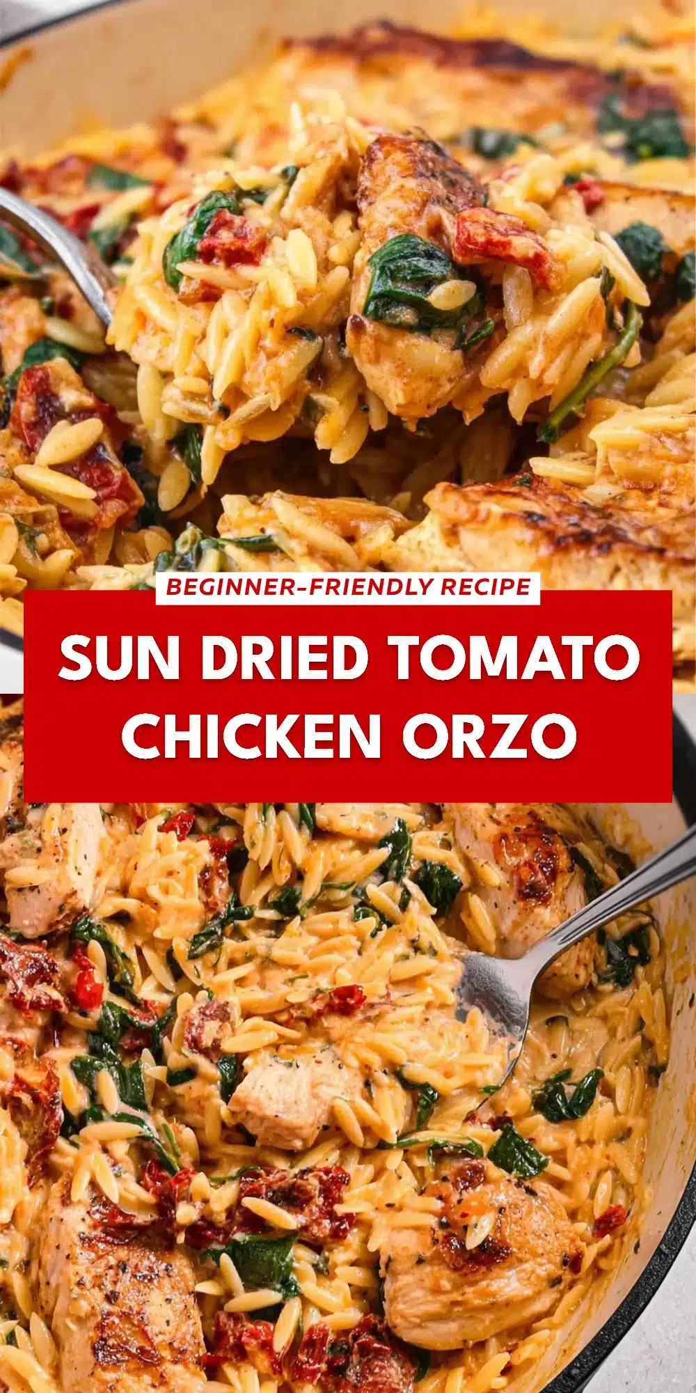 Sun Dried Tomato Chicken Orzo