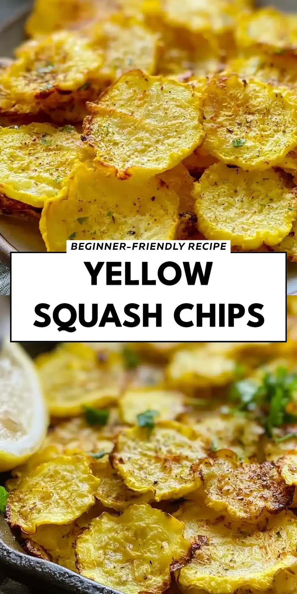 Yellow Squash Chips