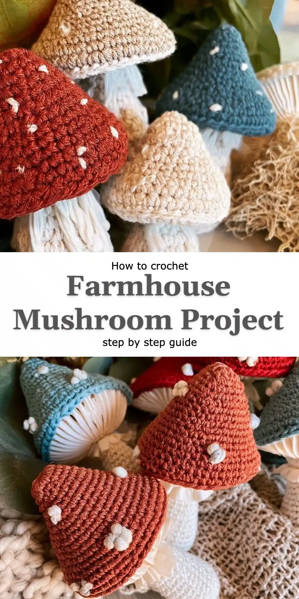 Farmhouse Mushroom Project